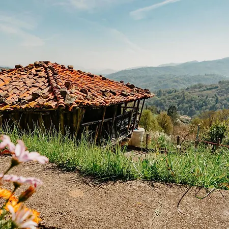 La Casina De Maxa Suares